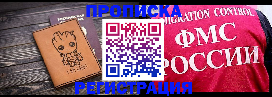 прописка 2025 в Котово